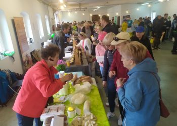 Lokalne przysmaki w Kłodawie. Targ nad Jeziorem już działa