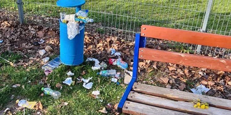 Miejska spółka ma zadbać o porządek w parkach