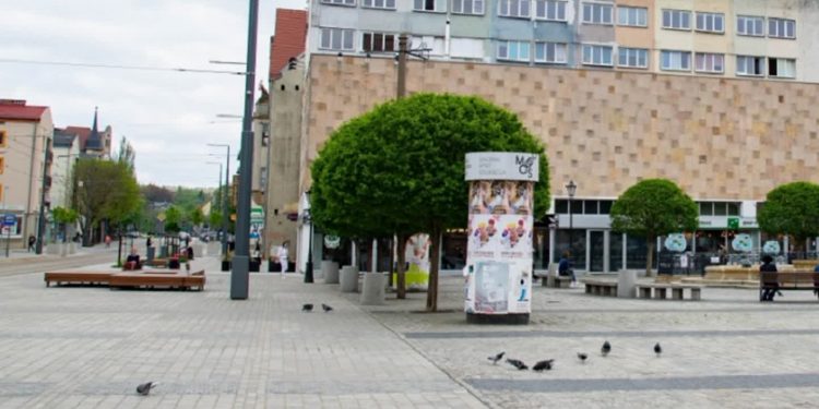 Ławki i kosze w mieście do renowacji