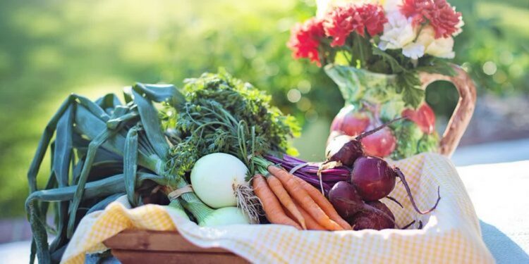 Jutro rusza w Kłodawie Targ nad Jeziorem