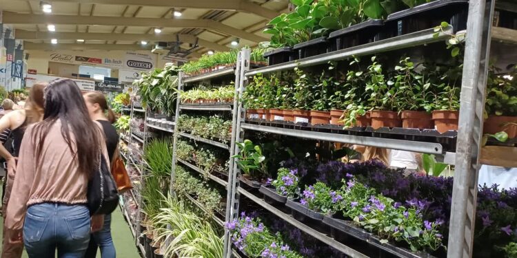 Kwiatowy zawrót głowy