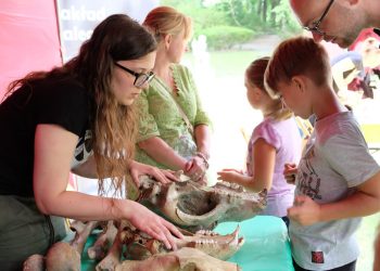 Kości w muzealnym ogrodzie