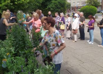 Rośliny dla pszczół przyciągnęły mieszkańców