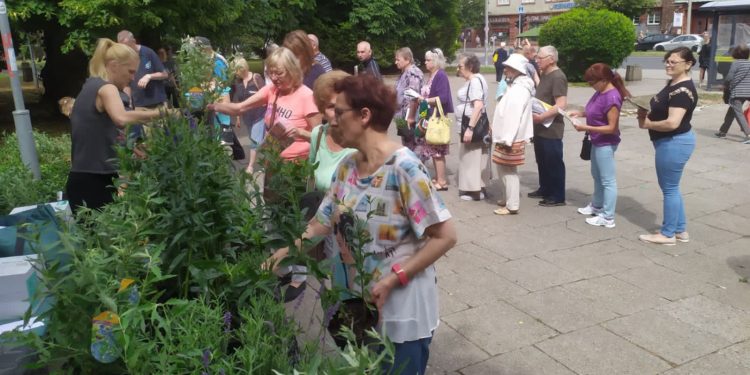Rośliny dla pszczół przyciągnęły mieszkańców