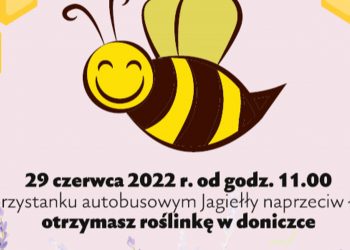 Darmowe sadzonki roślin na przystanku