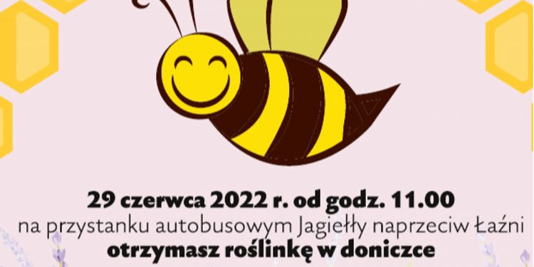 Darmowe sadzonki roślin na przystanku