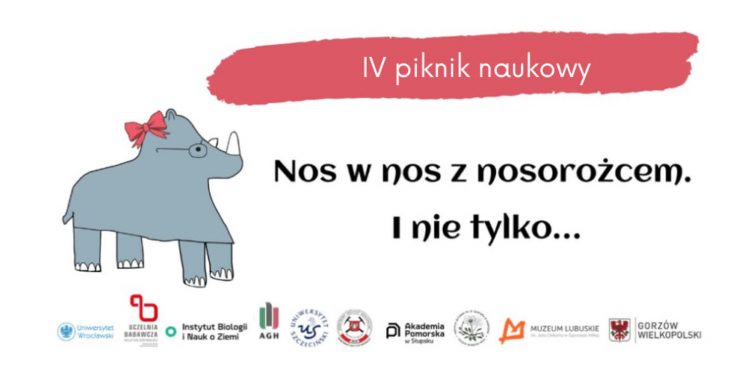 Nos w nos z nosorożcem. Weekend ze Stefanią