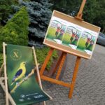 Fot. Piotr Wiśniewski