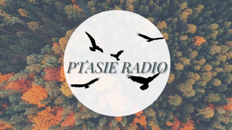 Ptasie Radio