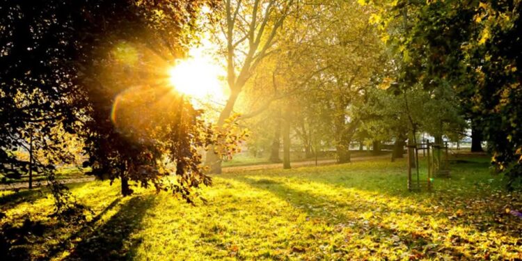 Schody nadal w remoncie