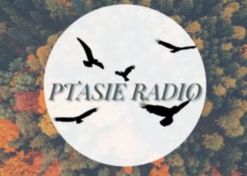 Ptasie Radio – 30.07.2022