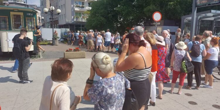 Ogromna kolejka po rośliny miododajne