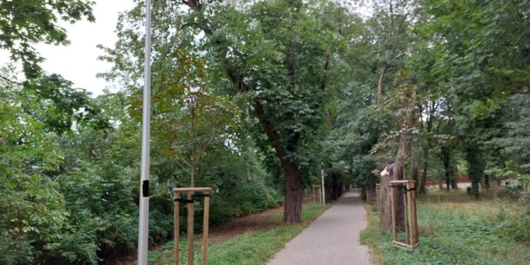 Rozpoczął się montaż lamp