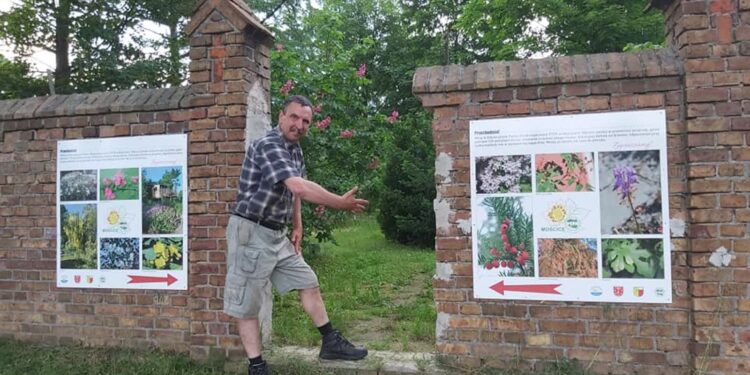 Rodzinna gra terenowa