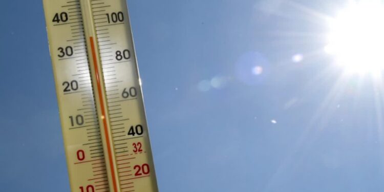 Zostawili psy w samochodzie