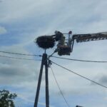 fot: Anna Wyszyńska