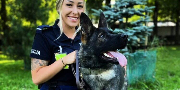 Lafi i Dex w lubuskiej policji