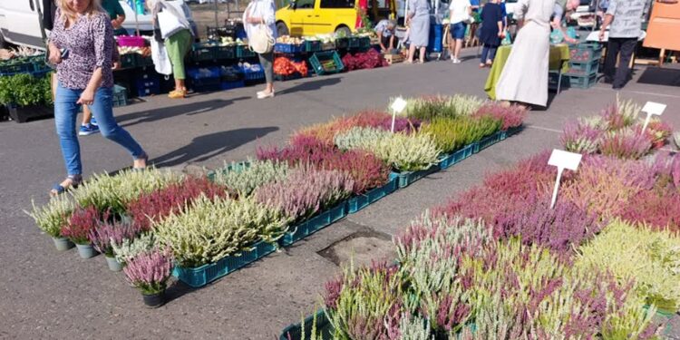 Na ryneczku przy Jerzego już jesiennie