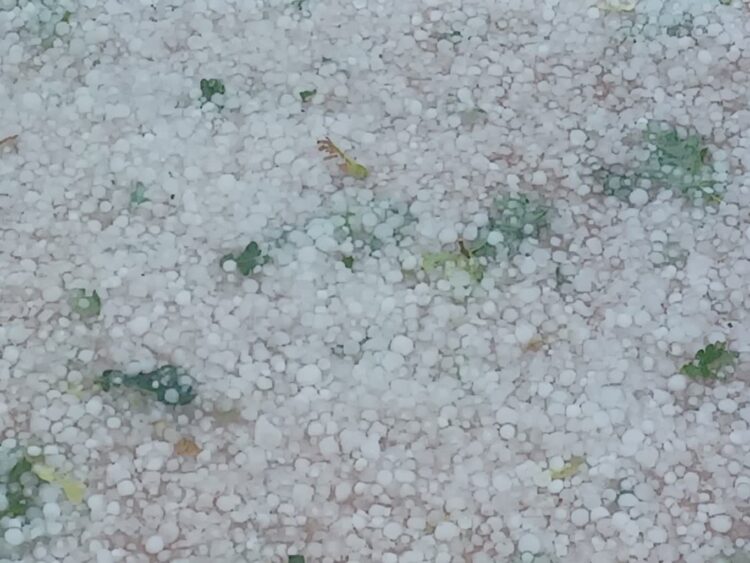 Nawałnica z gradem nad Gorzowem. Miasto jest sparaliżowane