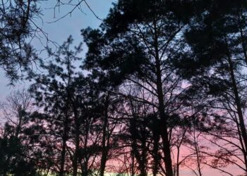 Fot. Zofia Popielecka