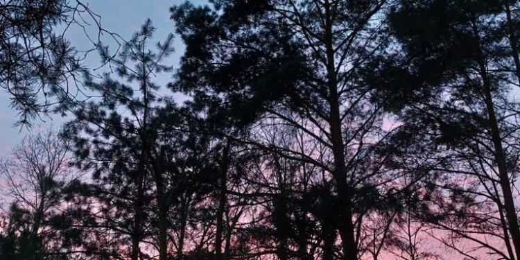 Fot. Zofia Popielecka