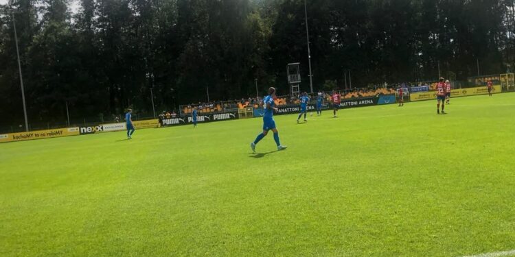 Remis Warty w Goczałkowicach