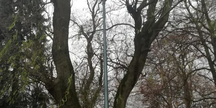 Miasto szuka oszczędności. Na próbę wyłączy niektóre latarnie