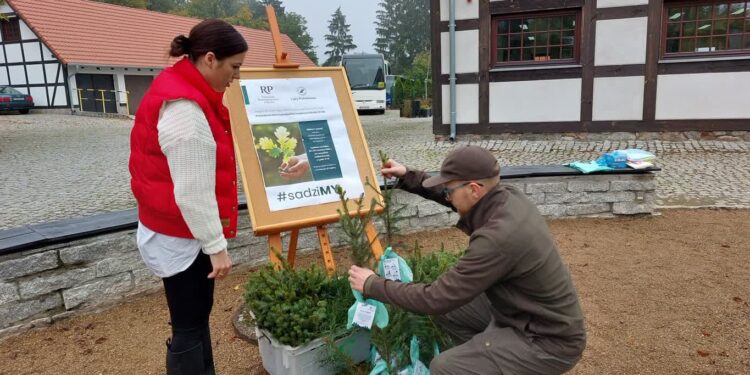 Cel na dziś: posadzić drzewo