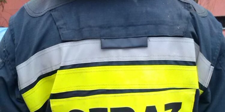 Strażacy uratowali konia, który utknął w rowie