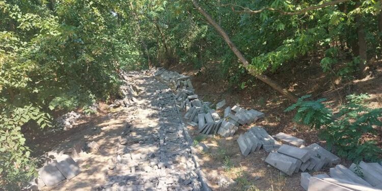 Co z parkiem Słowiańskim?