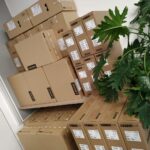 Fot. Piotr Wiśniewski