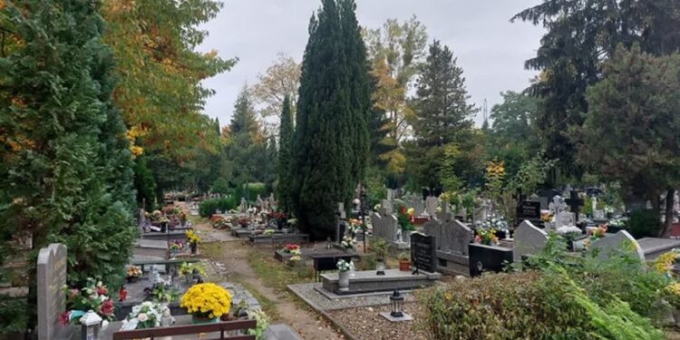 Przygotowania do listopadowych świąt