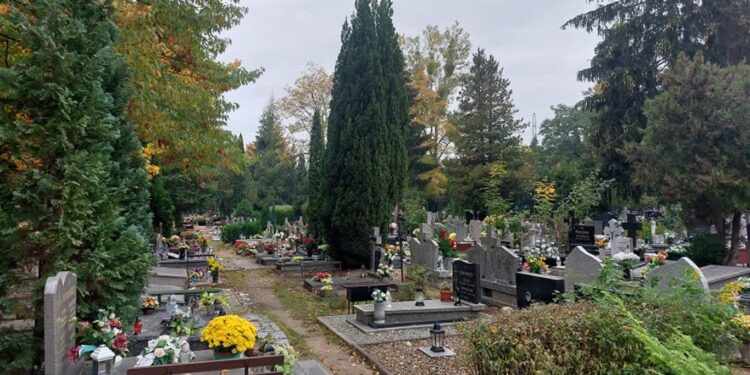 Na cmentarzu jeszcze spokojnie