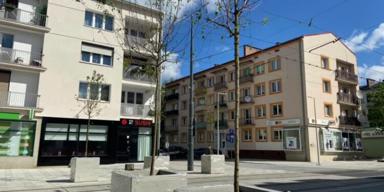 Drzewa będa w ziemi, choć niekoniecznie tam gdzie stoją donice