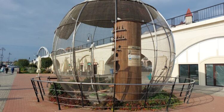 Papugom jest już ciepło