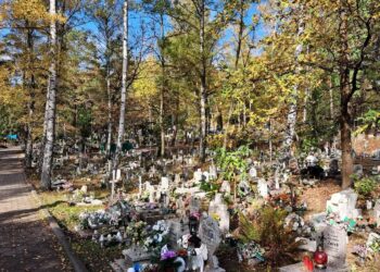 Fot. Marek Poniedziałek