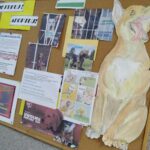 Fot. Piotr Wiśniewski