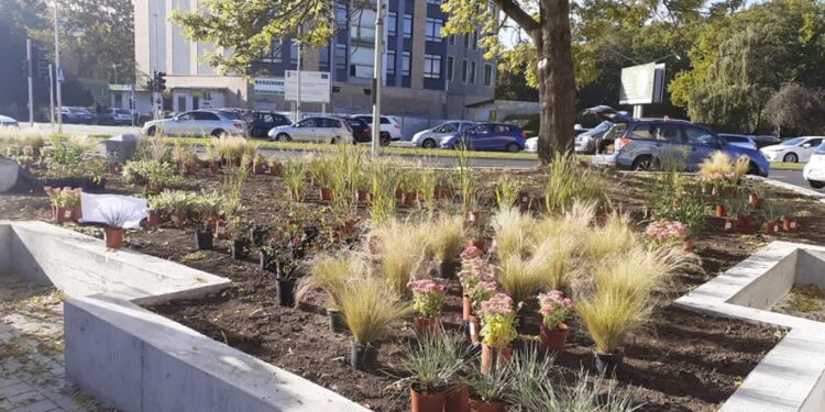 Powstaje kolejny park kieszonkowy