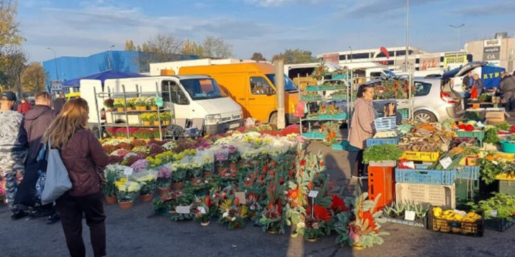 Przygotowania do listopadowych świąt