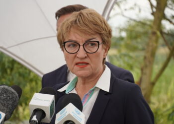 Fot. Mateusz Gieryga - Praca własna, CC BY-SA 4.0, https://commons.wikimedia.org/w/index.php?curid=122253769