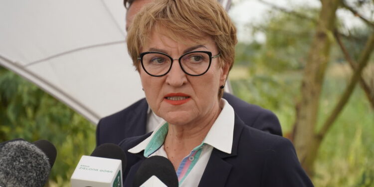 Fot. Mateusz Gieryga - Praca własna, CC BY-SA 4.0, https://commons.wikimedia.org/w/index.php?curid=122253769