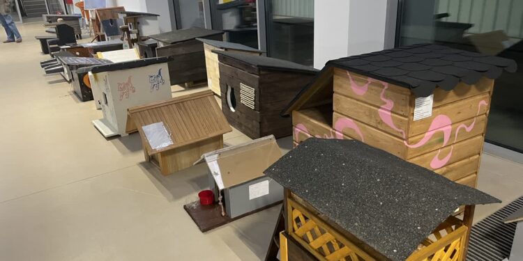 Konkurs „Żyćliwi kotom czyli gorzowskie budkowanie”