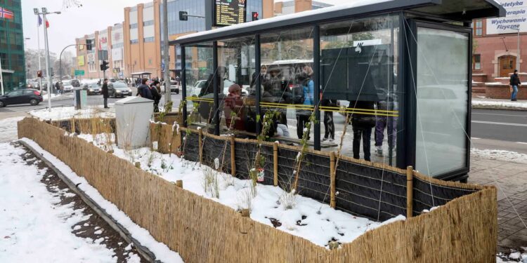 Zielona wiata w Gorzowie