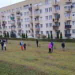 Nasadzenia dębów w Gorzowie