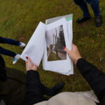 Ponad 350 wyschniętych drzew w Gorzowie przeznaczonych do usunięcia