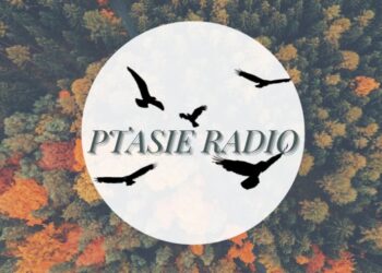 Ptasie Radio 24.09