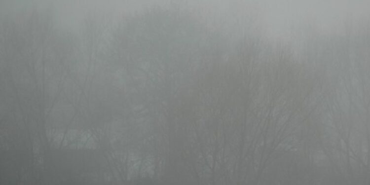 S3 na wysokości Gorzowa zablokowana