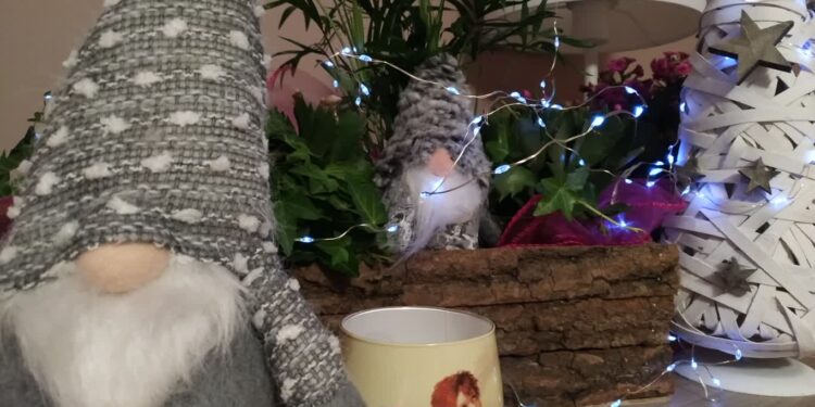 Fot. Piotr Wiśniewski