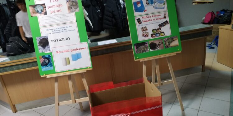 W I LO pomagają jeżom: „Inicjatywa całej społeczności szkoły”