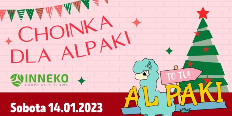 Poczęstuj alpaki swoją choinką!